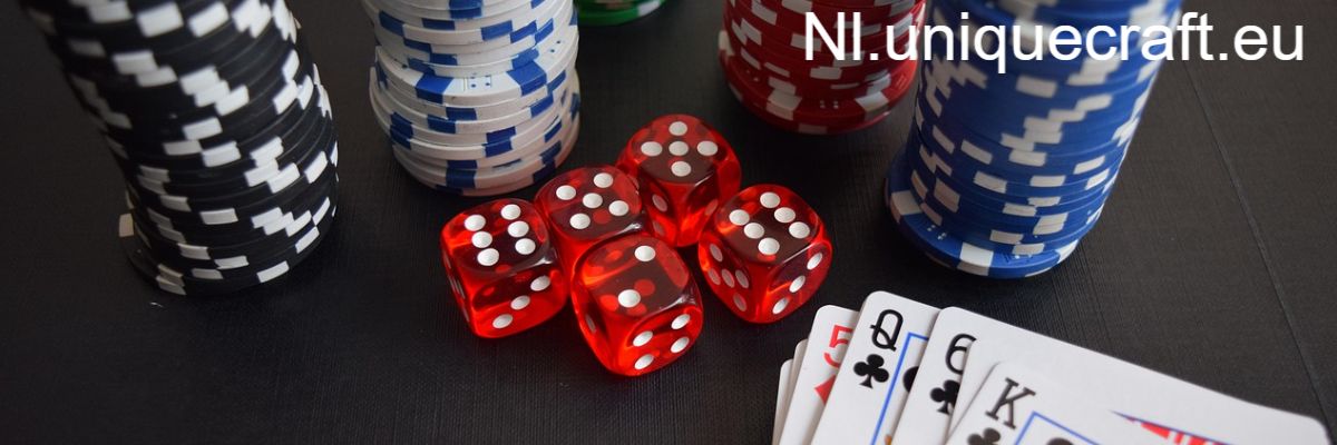 nl.uniquecraft.eu